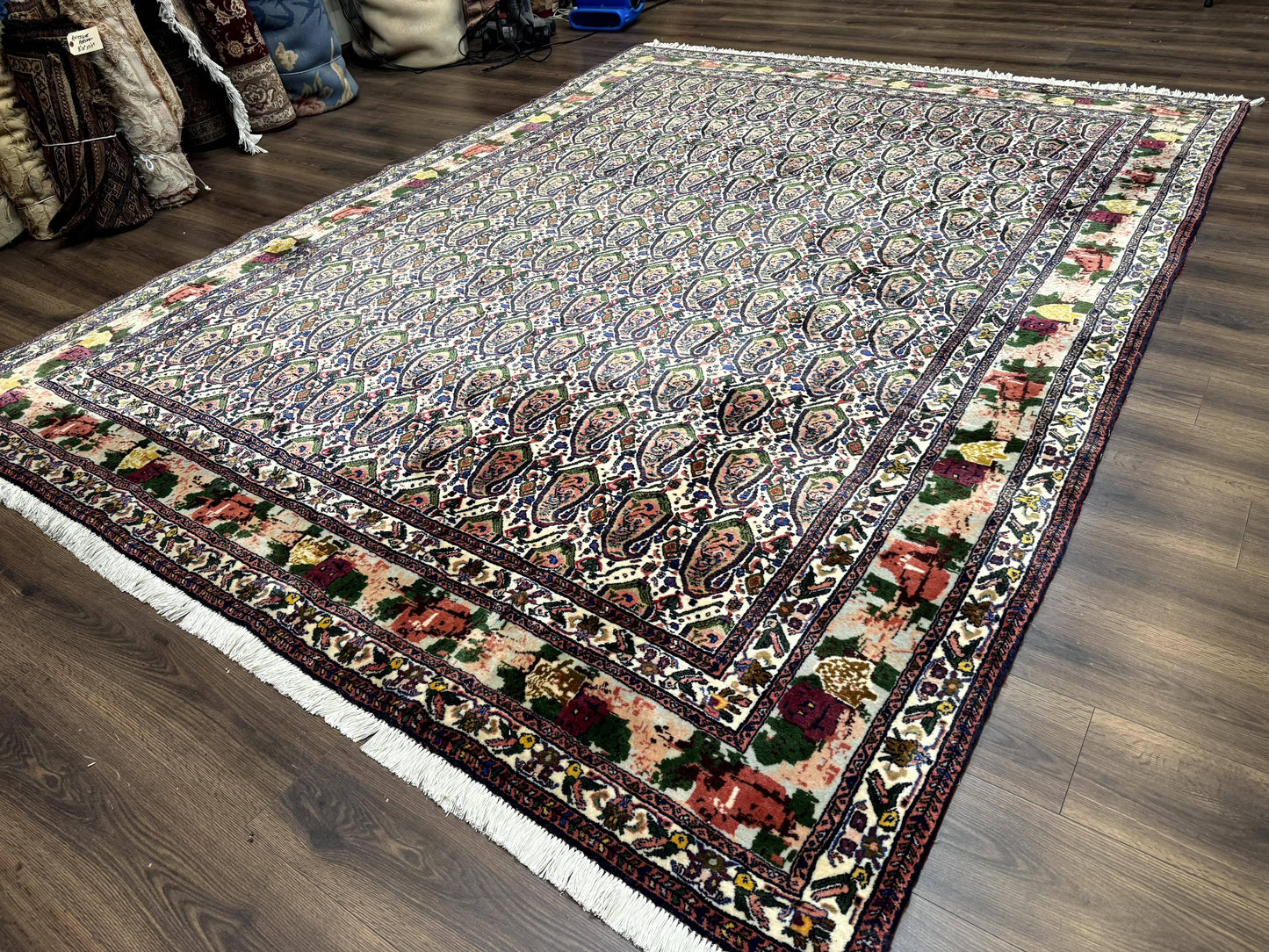 Persian Kurdish Rug 8x11, Repeated Allover Boteh Paisley Design, Bird Pictorials, Rare Antique Sannadaji Carpet