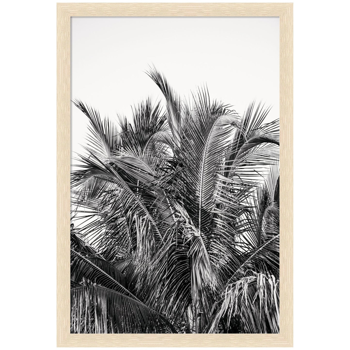 No 13 by Alicia Bock Framed Wall Art Print