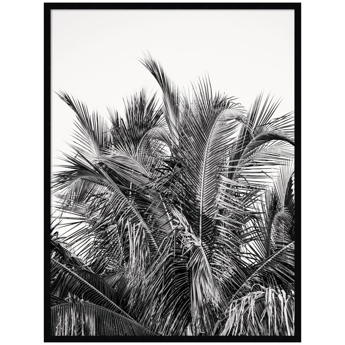 No 13 by Alicia Bock Framed Wall Art Print