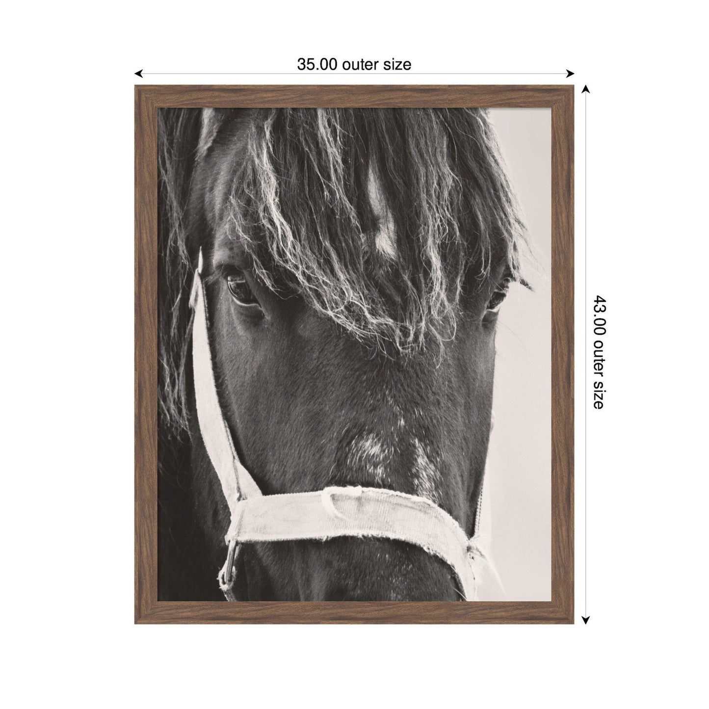 Black Horse by Emiko and Mark Franzen F2 Images Framed Wall Art Print