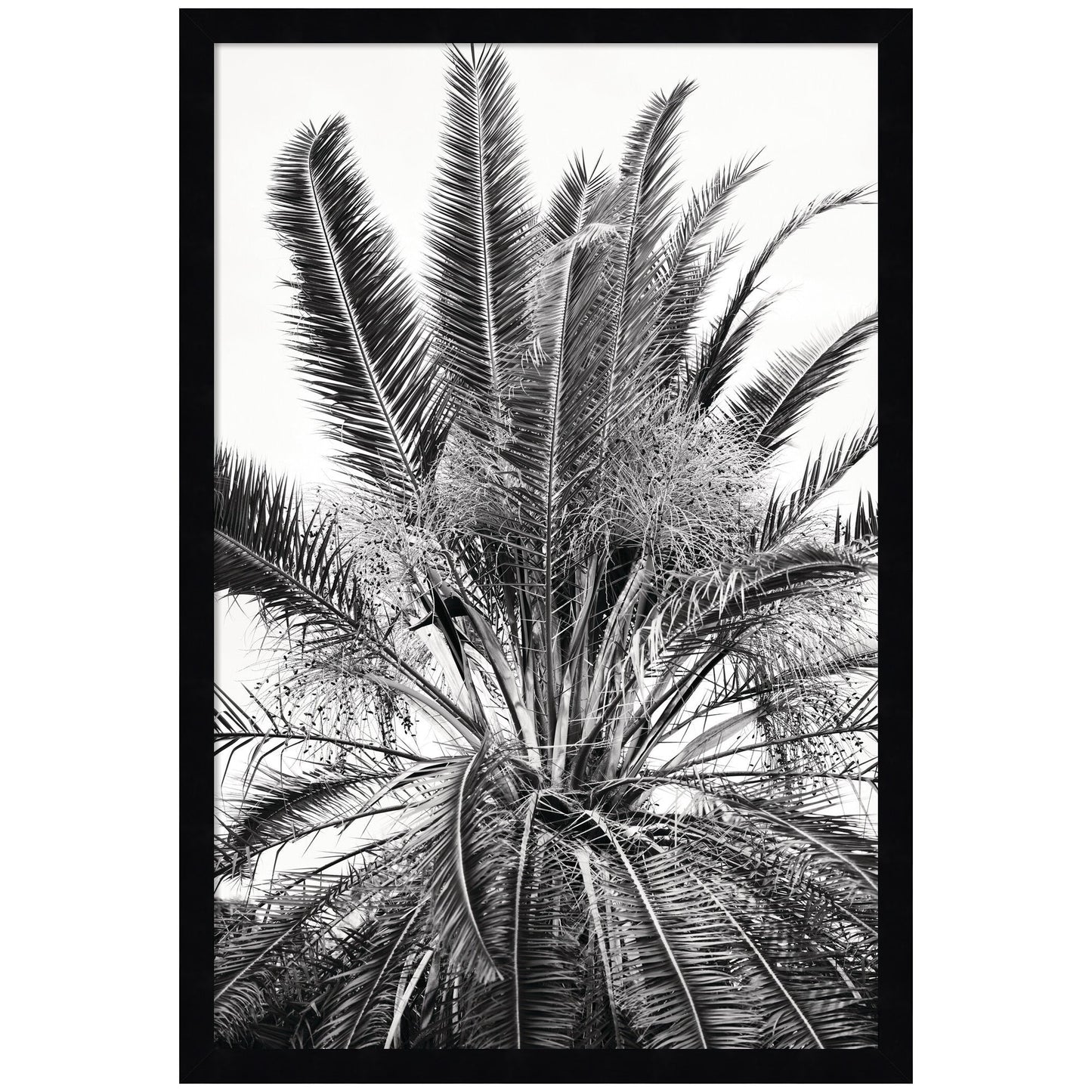 No 15 by Alicia Bock Framed Wall Art Print