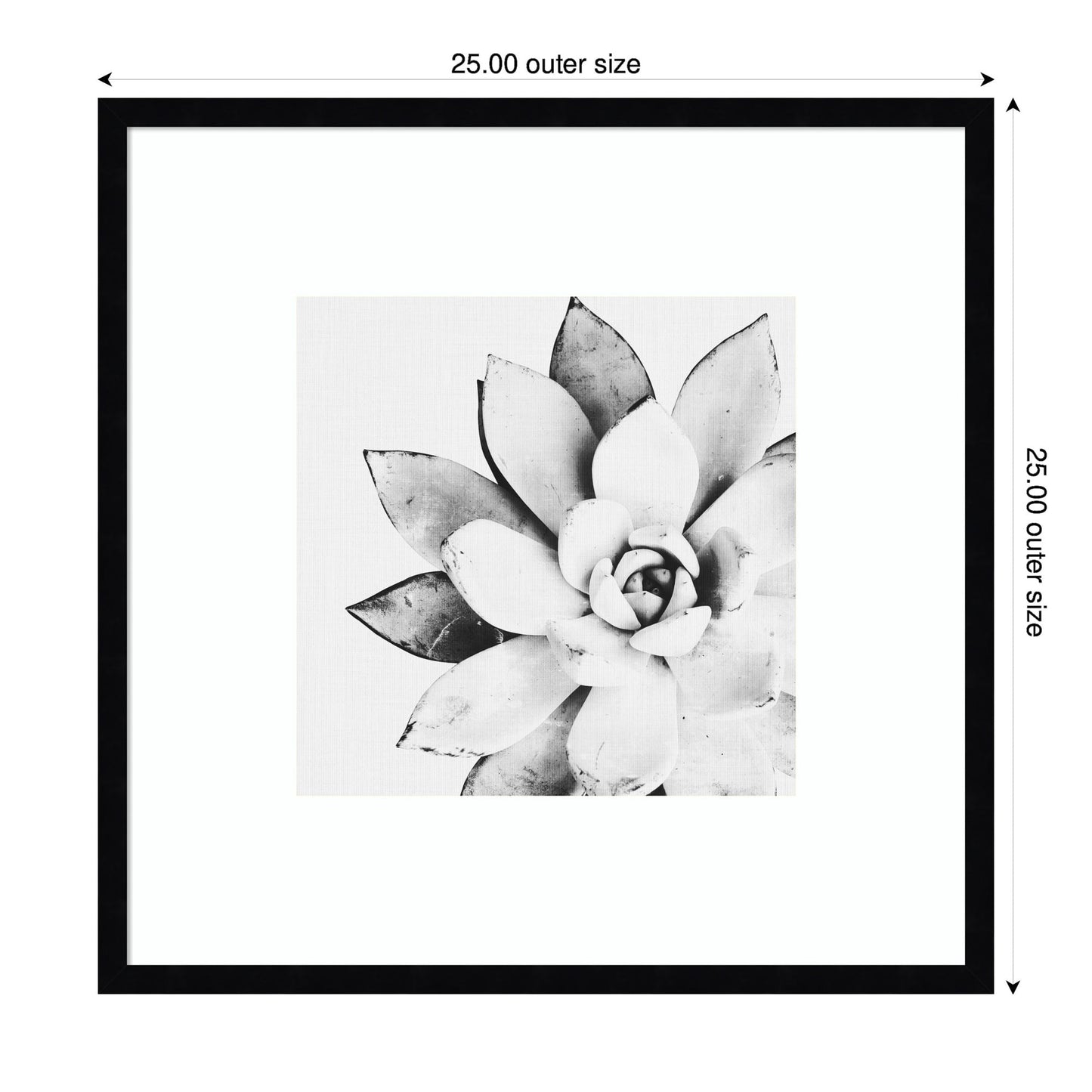 Modern Succulent by Tai Prints Framed Wall Art Print