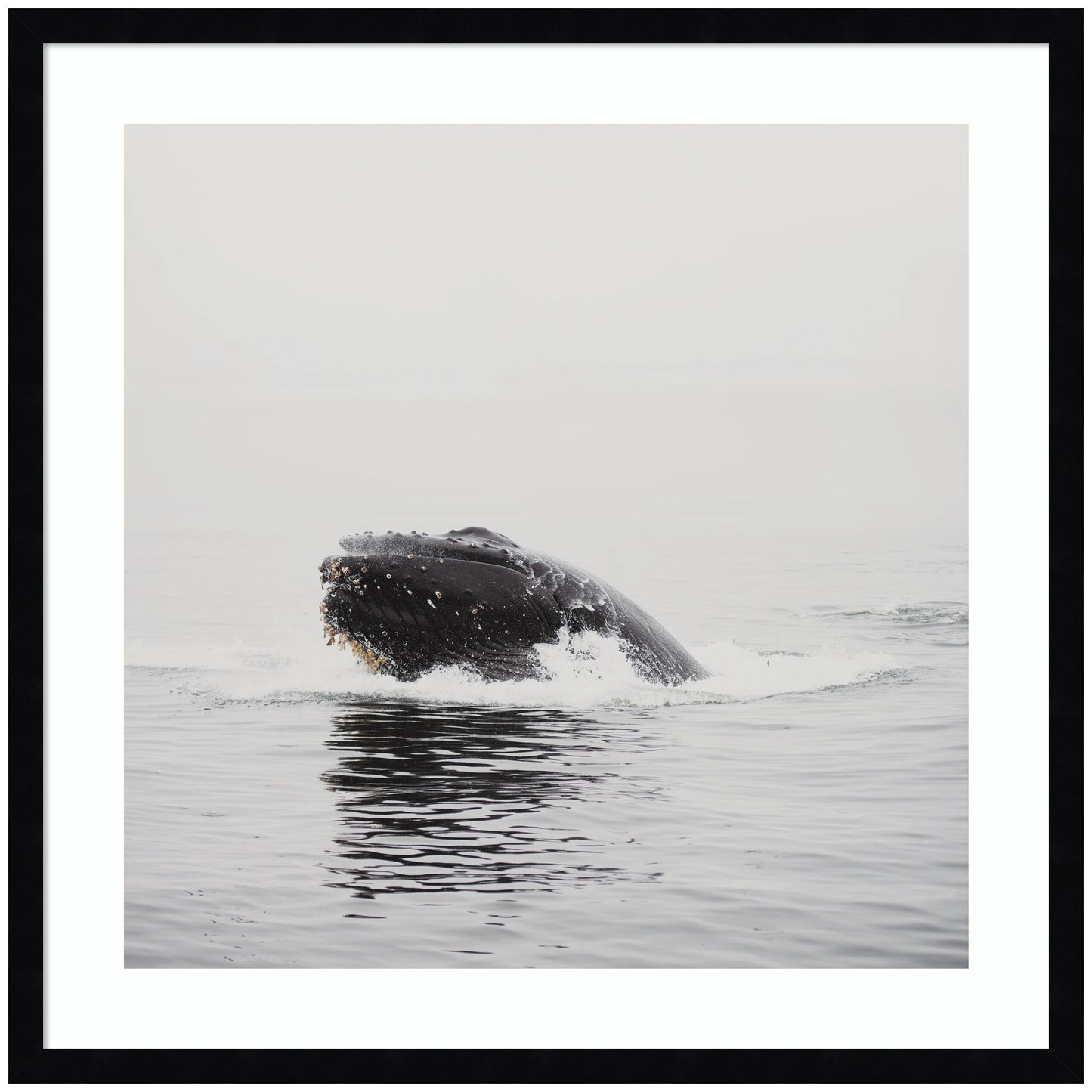 Humpback Whale No. 4 by Laura Evans Framed Wall Art Print
