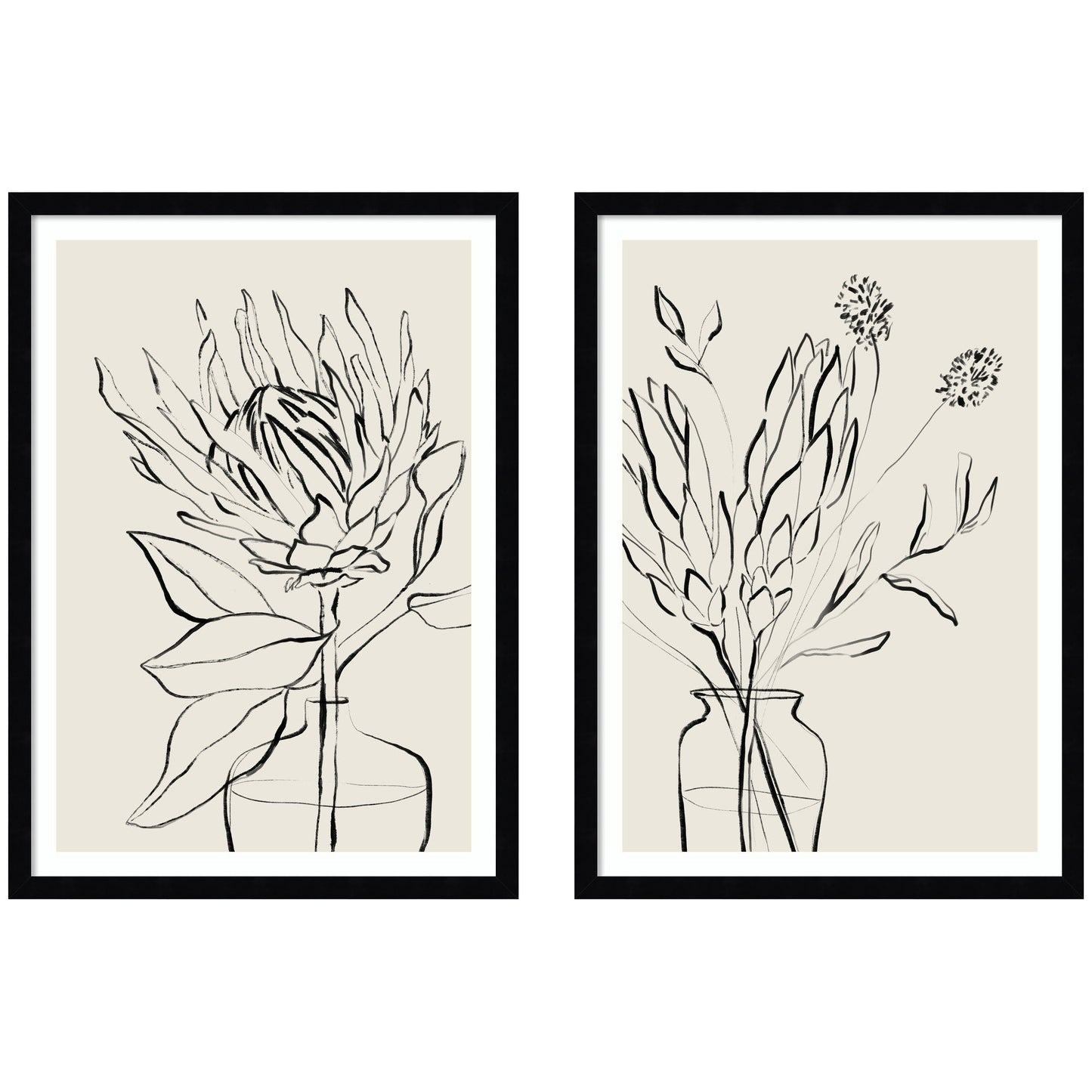SB Protea Sketch No. 1 & No. 2 2 Piece Framed Wall Art Print Set by Sara Berrenson