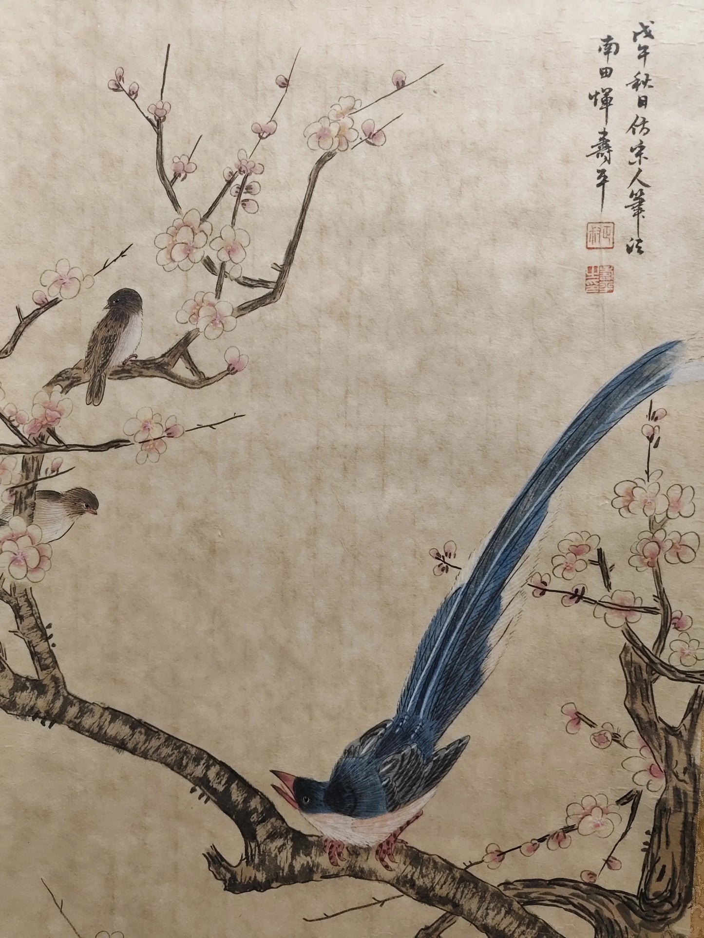 Antique Chinese Hand‑Painted Long Scroll – Bird & Flower Painting