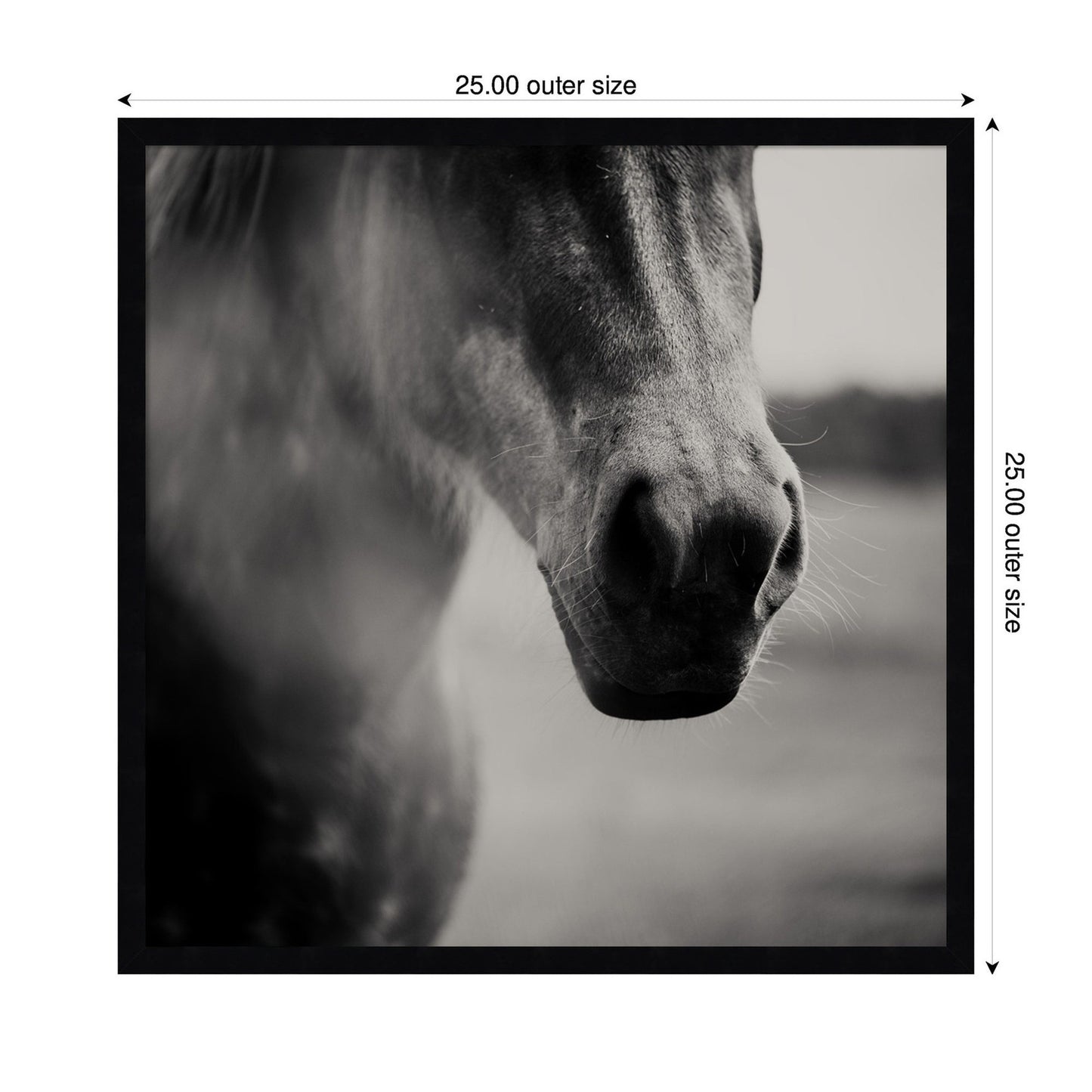 Horse Like Velvet by Laura Evans Framed Wall Art Print
