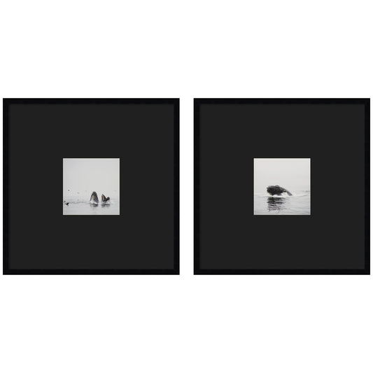 Humpback Whale 2 Piece Framed Wall Art Print Set by Laura Evans Black Mat