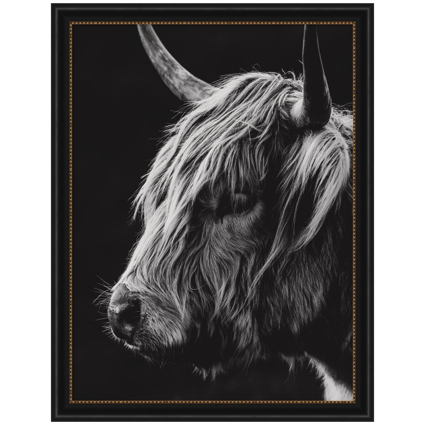 Scottish Highland Vertical by Crystal Lynn Collins Framed Wall Art Print