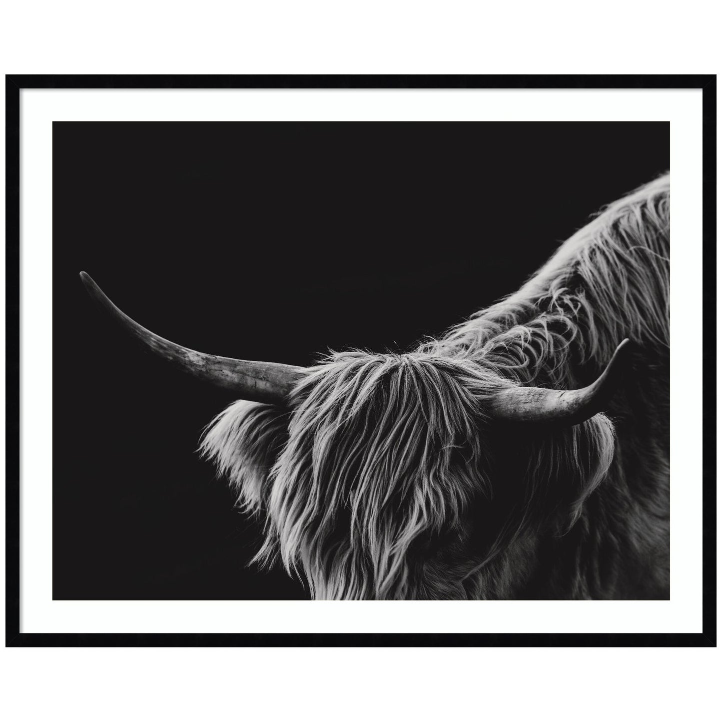 Scottish Highland No. 6 by Crystal Lynn Collins Framed Wall Art Print