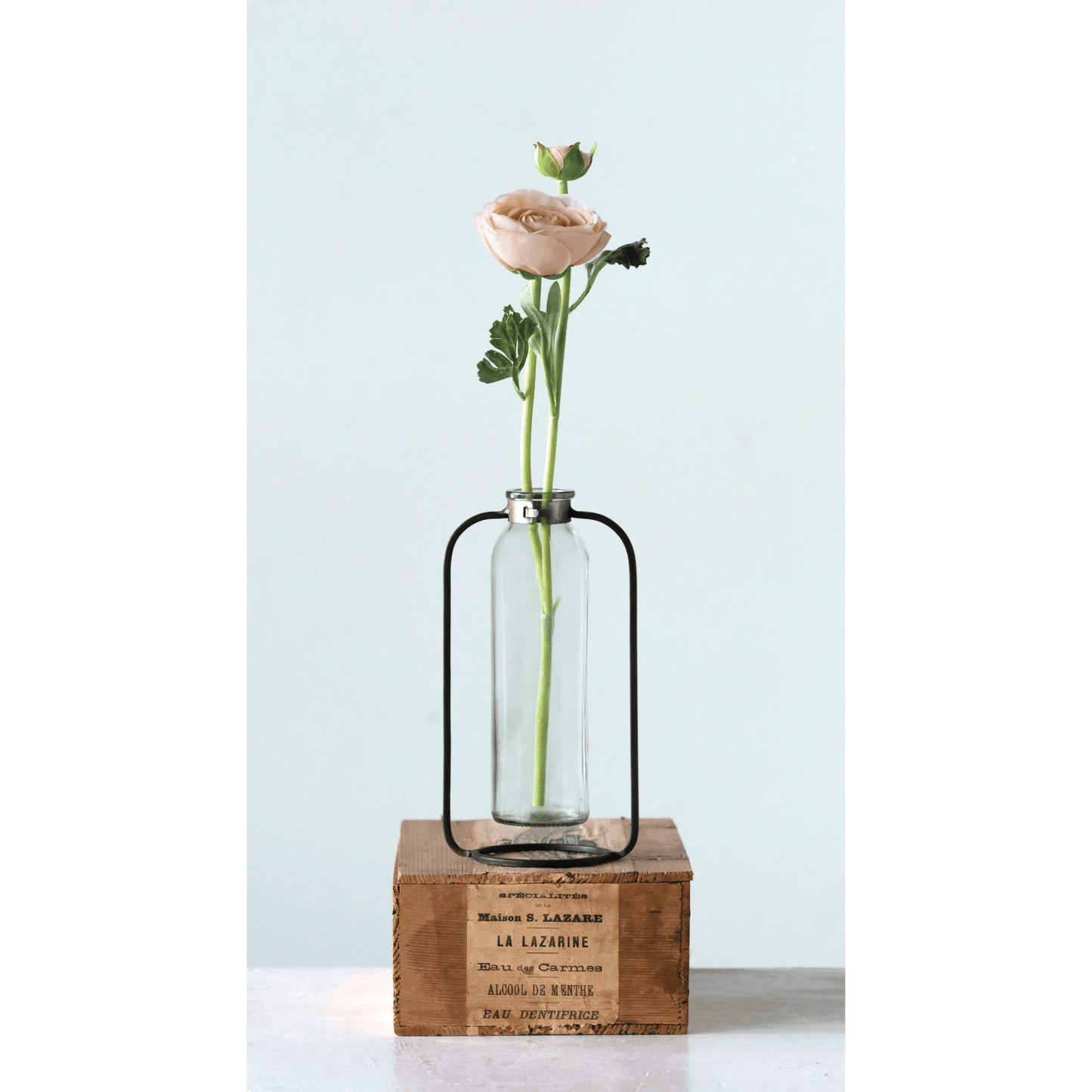 The Glass Garden Bud Vase in Metal Stand