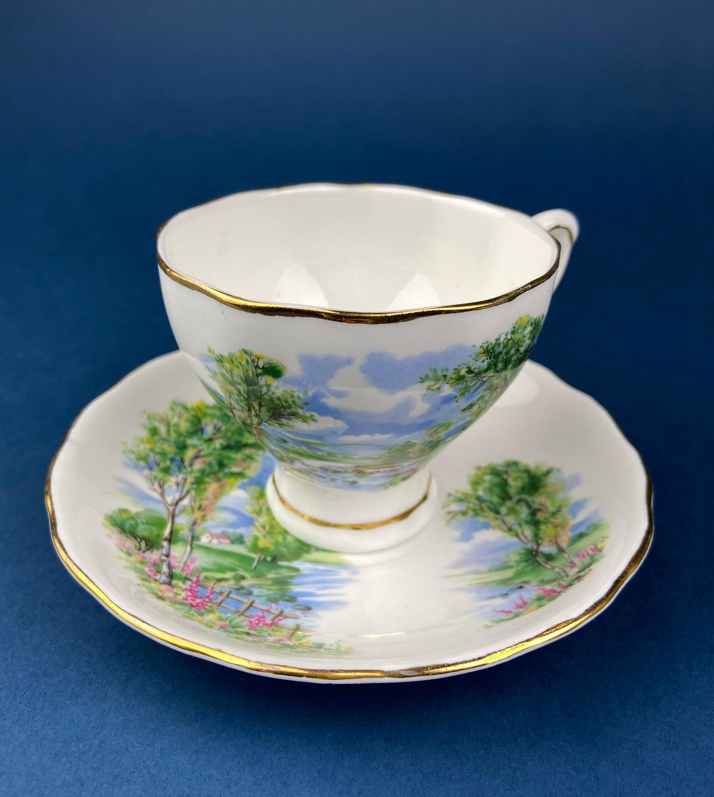 Vintage Colclough Fine Bone China Tea Cup and Saucer, Hand Painted Pastoral Scene