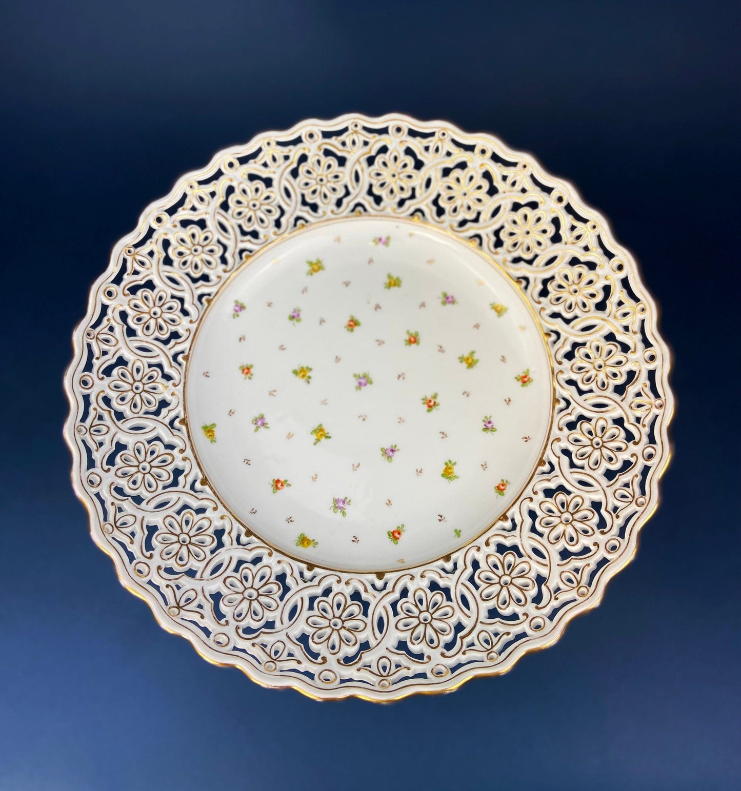 Porcelain Bowl by RS Prussia with Hand Painted Wild Roses and Embossing