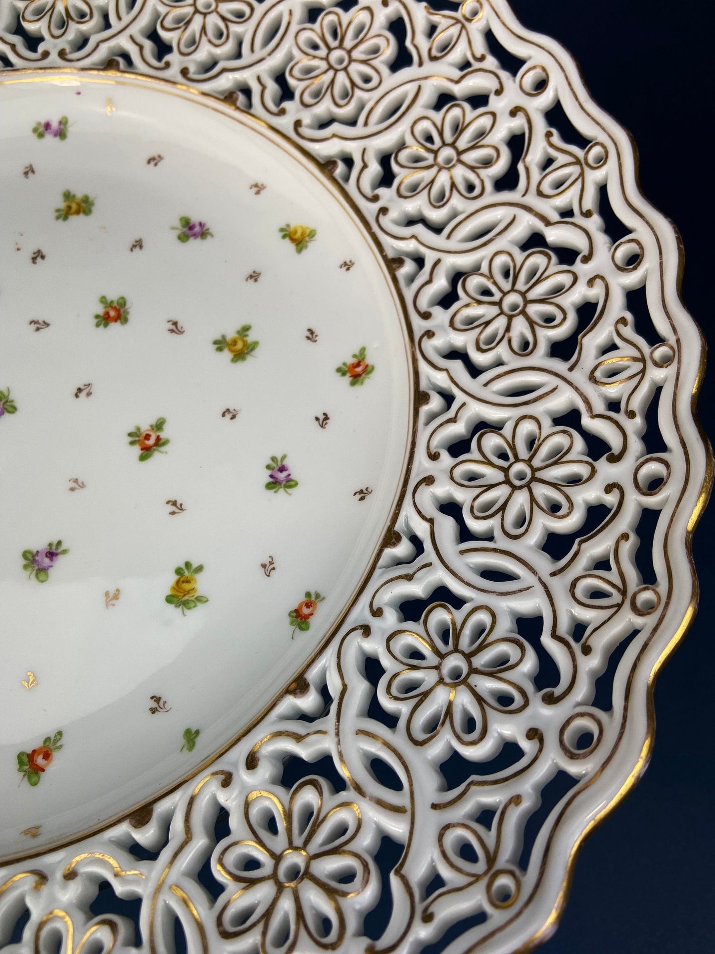 Porcelain Bowl by RS Prussia with Hand Painted Wild Roses and Embossing