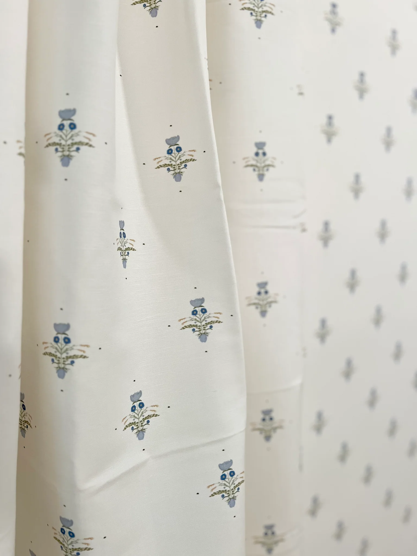 Leone in Blue Wallpaper