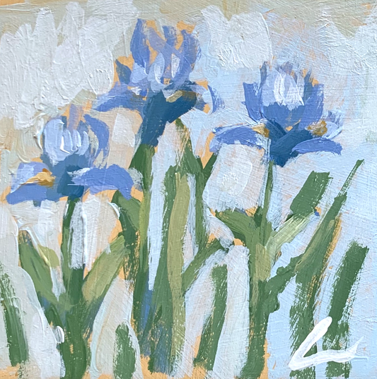 Iris's 4 PRINT