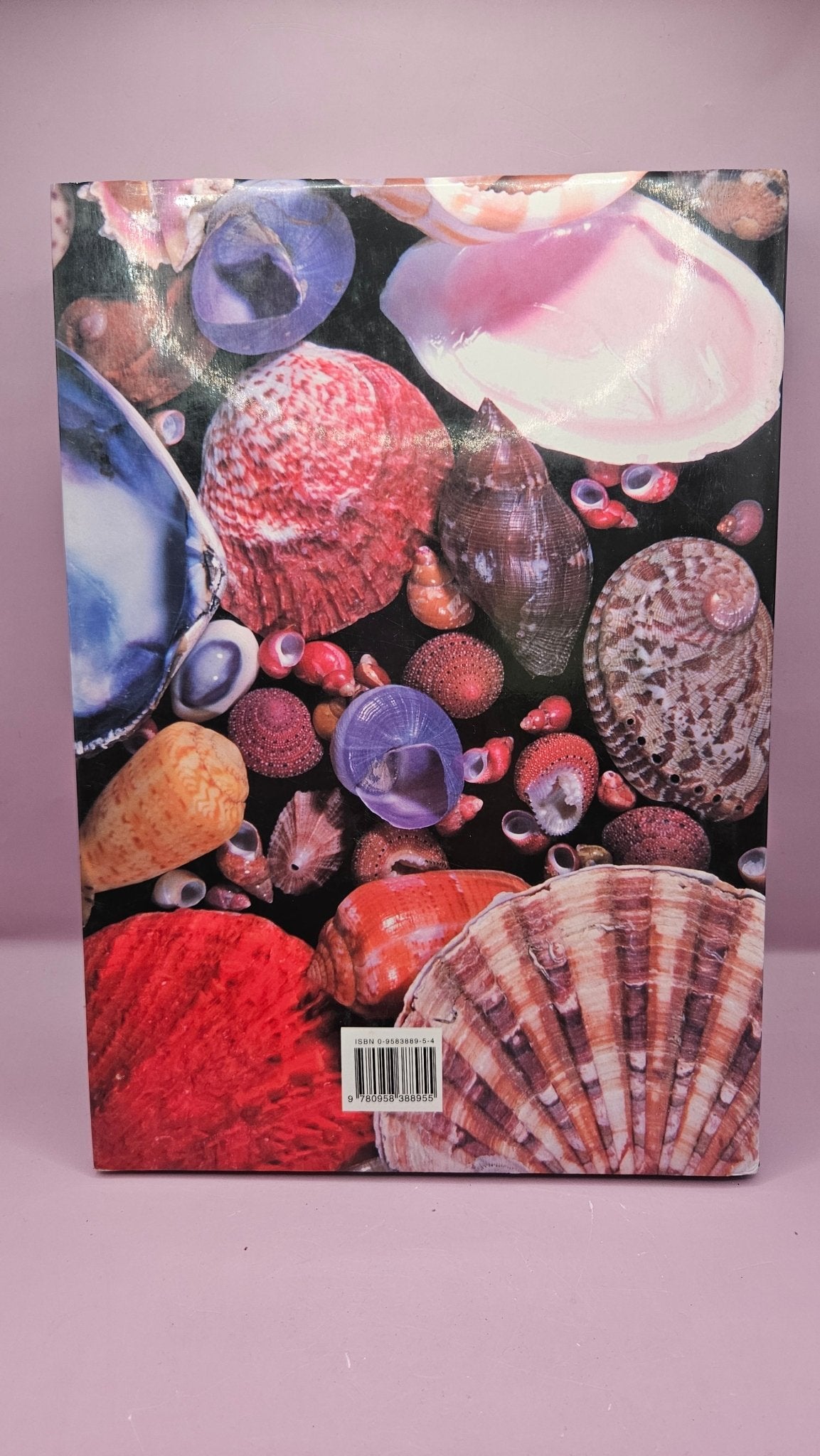 Marine Shells of South Africa" by Douw G. Steyn & Markus Lussi - Hardcover 12"x8.5
