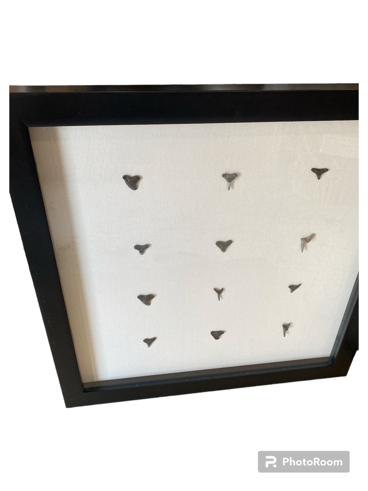 Shark teeth shadow box- Made to order