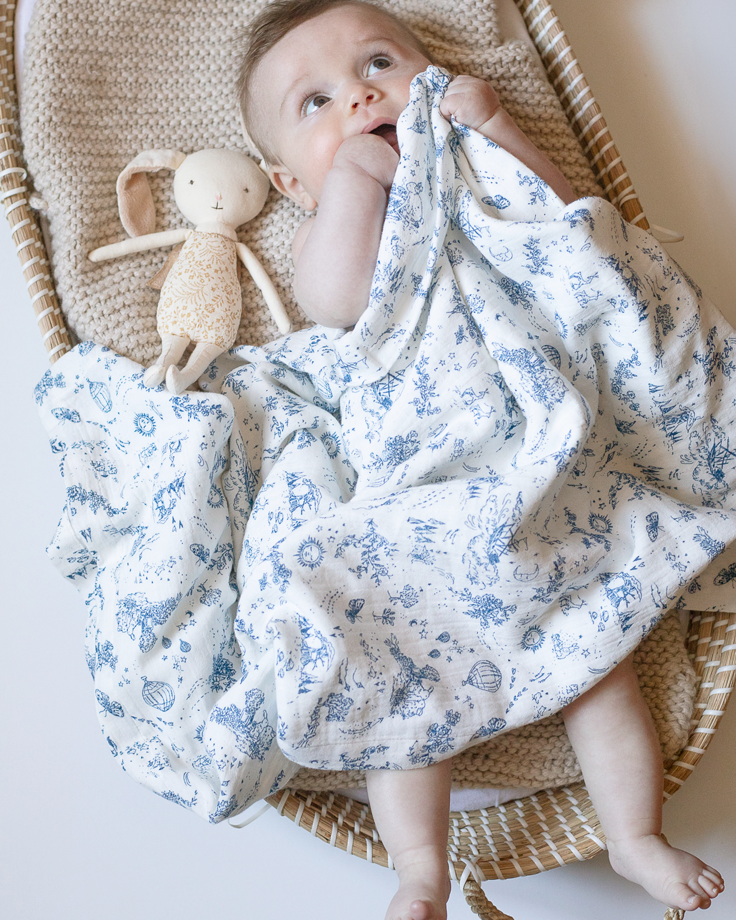 rêverie blanket {storytime toile} (FRENCH WINK)