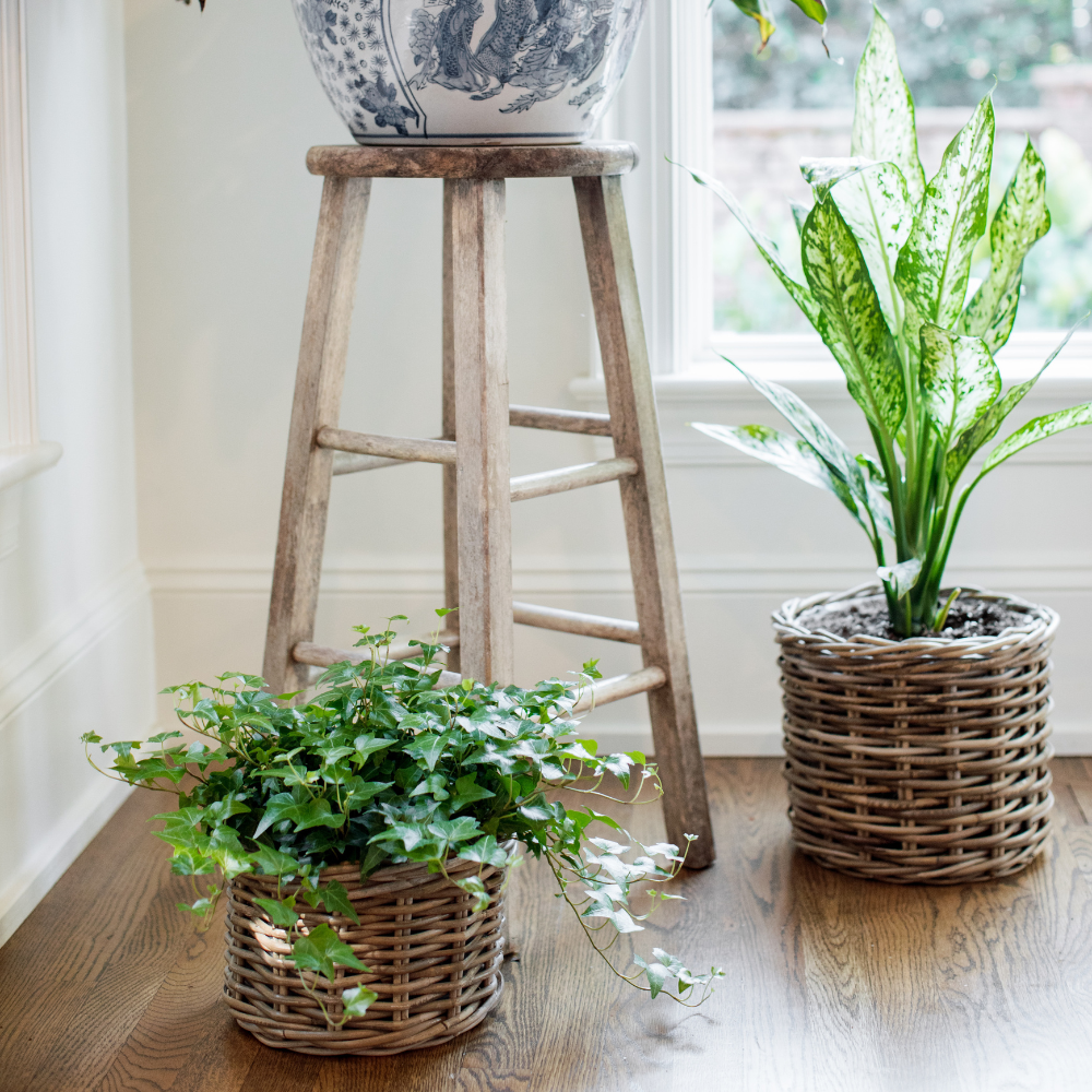 Handwoven Rattan Garden Cachepots