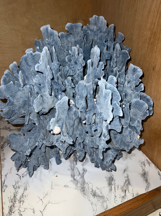 Vintage Blue Ridge Coral- 18"