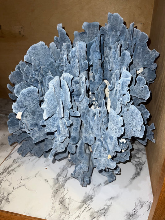 Vintage Blue Ridge Coral- 18"