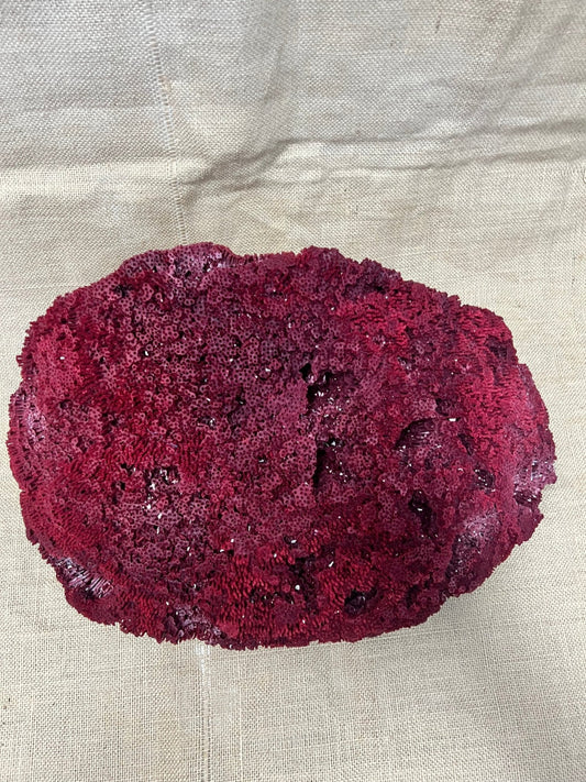 Vintage Red Pipe Coral- 19"