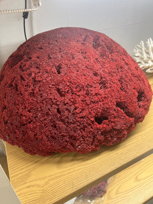 Vintage Red Pipe Coral- 25"